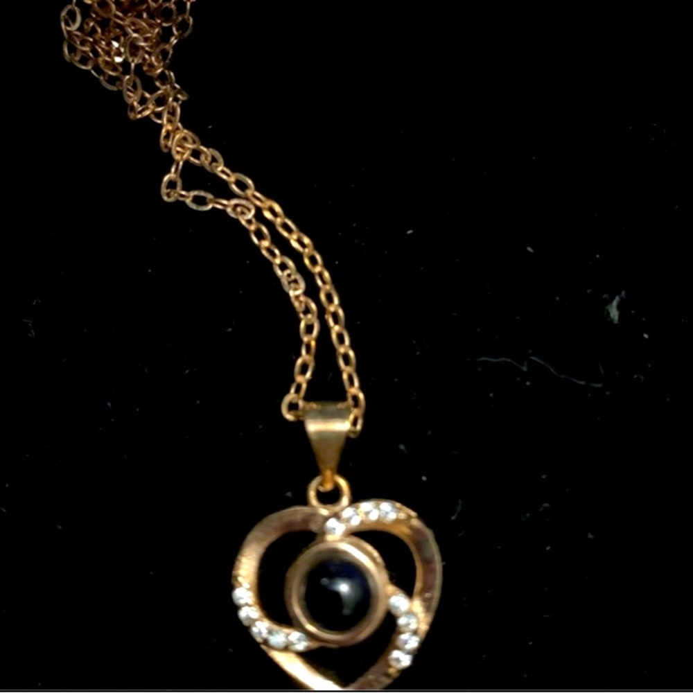 LOVE in every language projection necklace with box and preserved rose